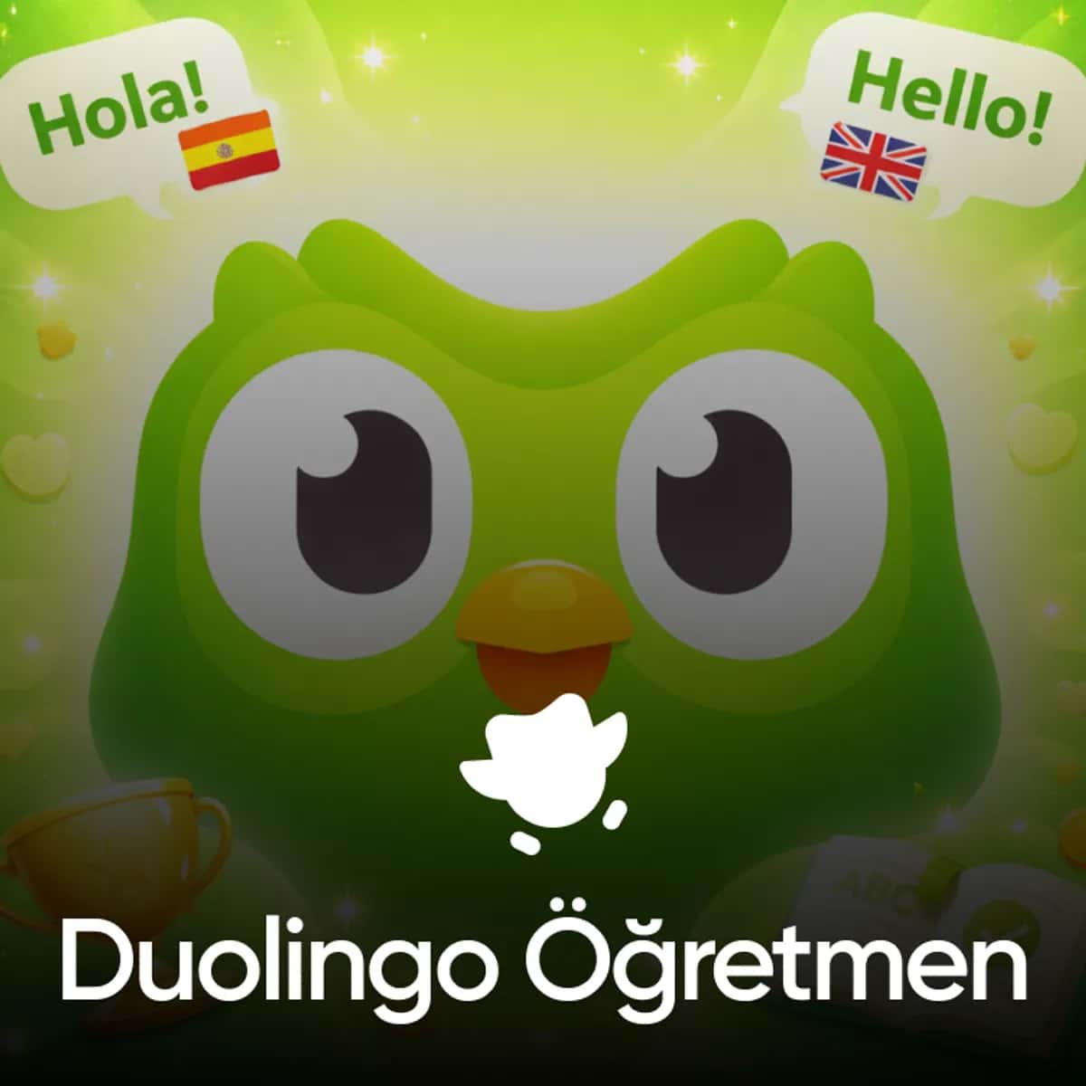 Duolingo Öğretmen Hesabı - Öğrenim İçeriği