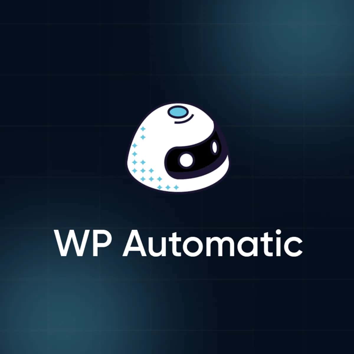 WP Automatic – Dijital Lisans 