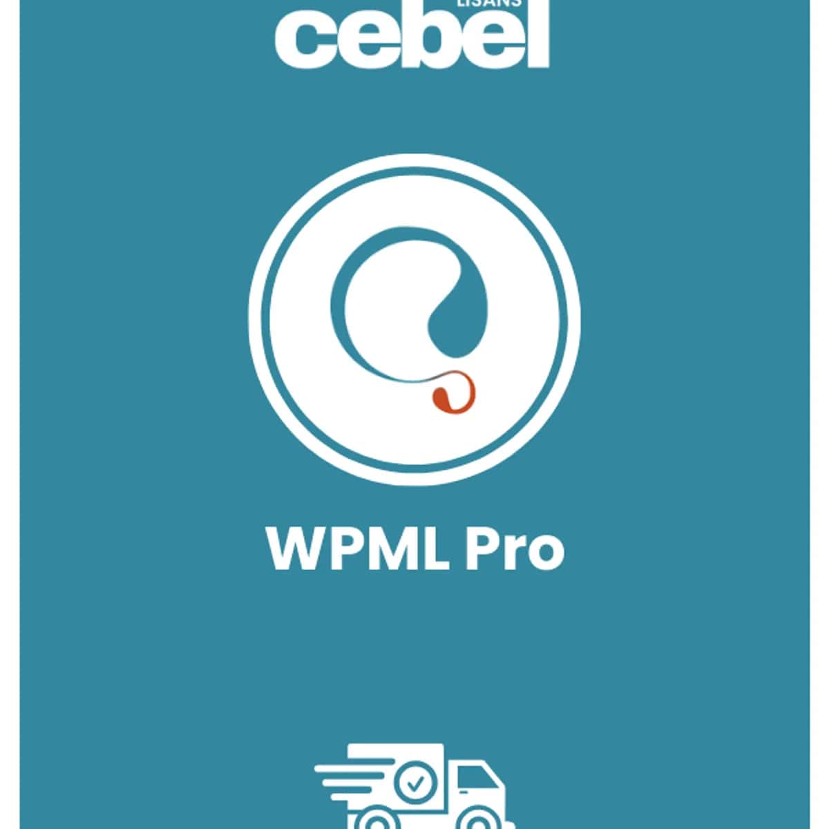 WPML | 1 Yıllık Kullanım Ürünü