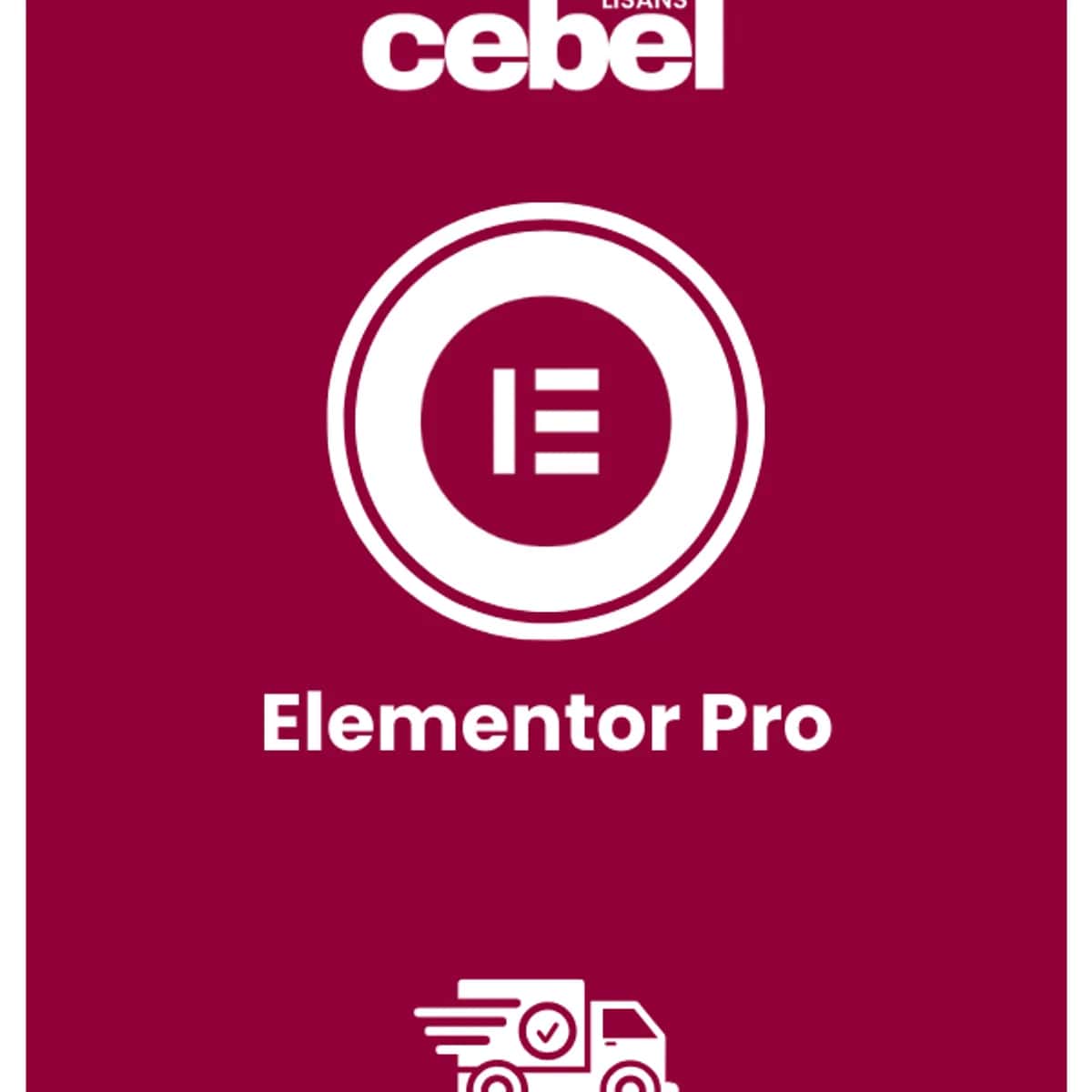  Elementor Pro | 1 Yıllık Kullanım
