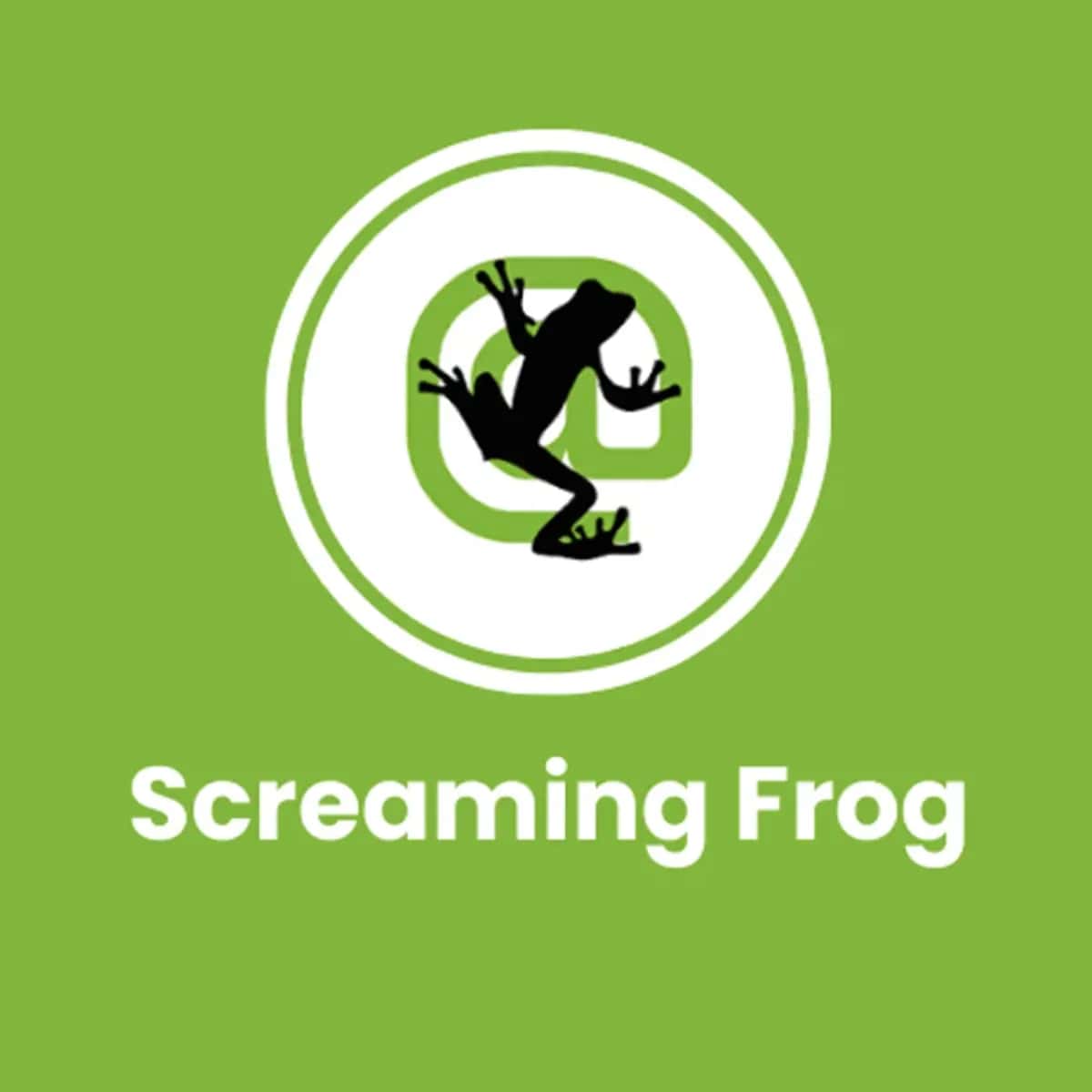 Screaming Frog 1 Yılık Kullanım