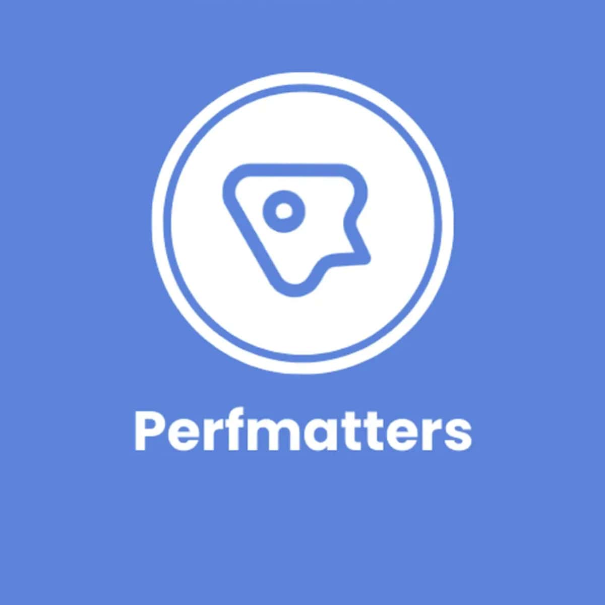  Perfmatters | 1 Yıllık Kullanım