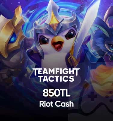 TFT 850 TL Riot Cash
