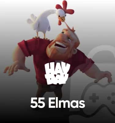 Hay Day 55 Elmas