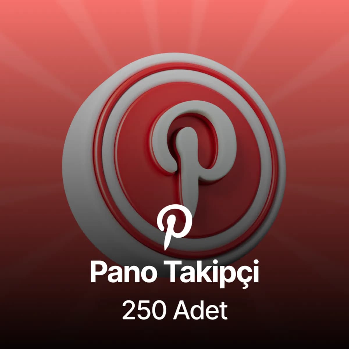 Pinterest 250 Pano Takipçi - Kaliteli Kullanıcılar