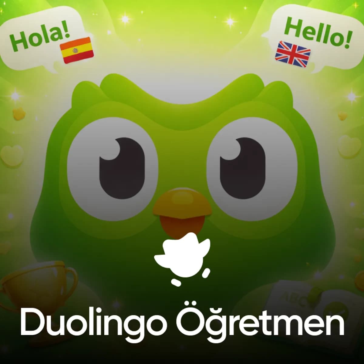 Duolingo Öğretmen Hesabı - Öğrenim İçeriği