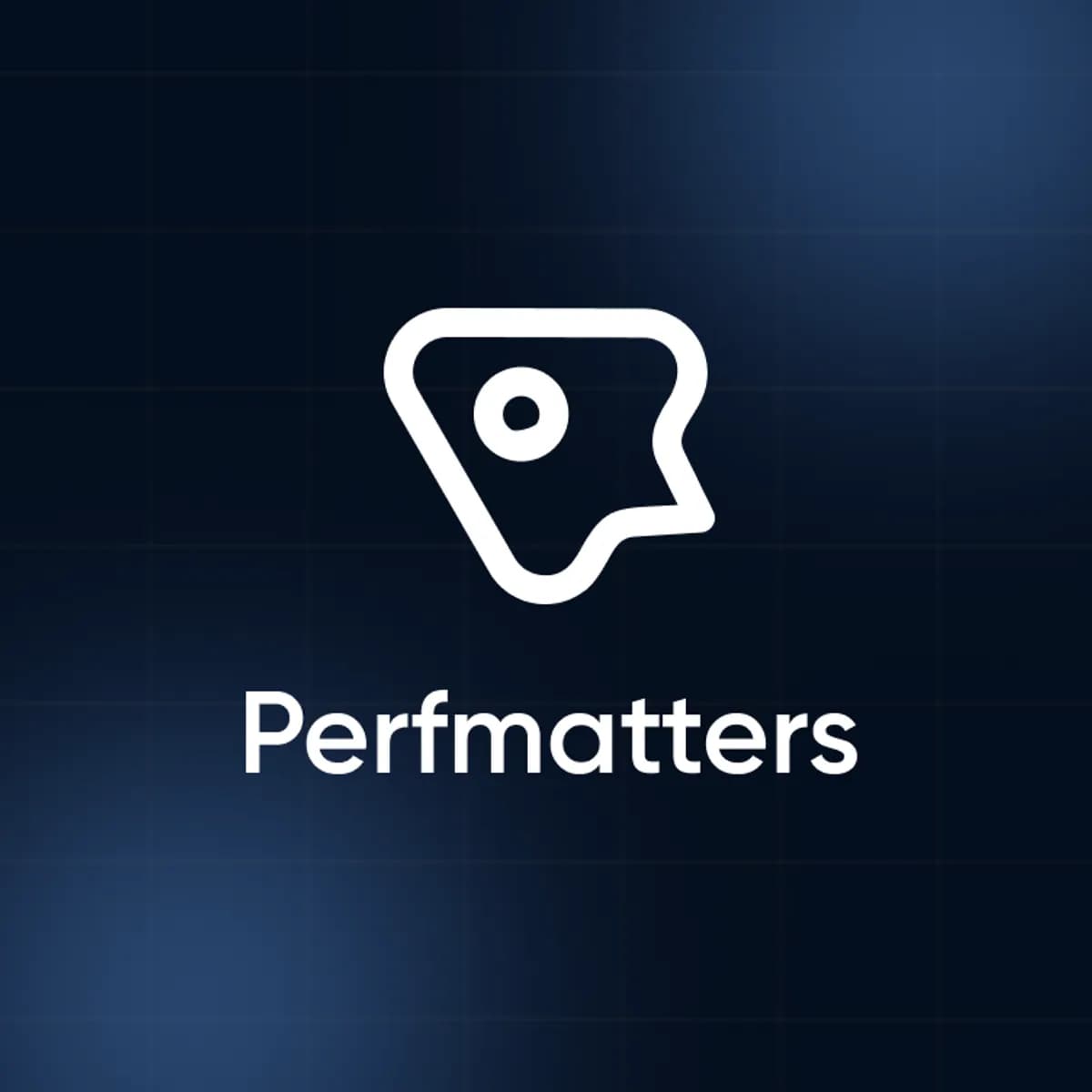 Perfmatters – Dijital Lisans - Garantili