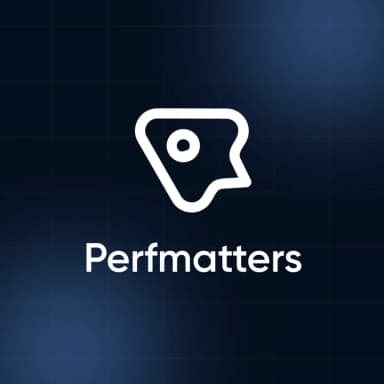 Perfmatters – Dijital Lisans - Garantili