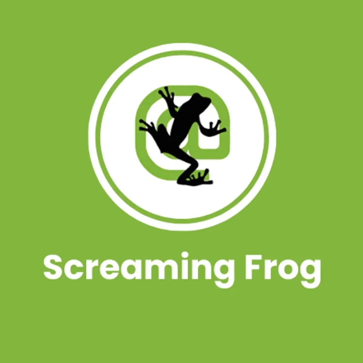 Screaming Frog 1 Yılık Kullanım