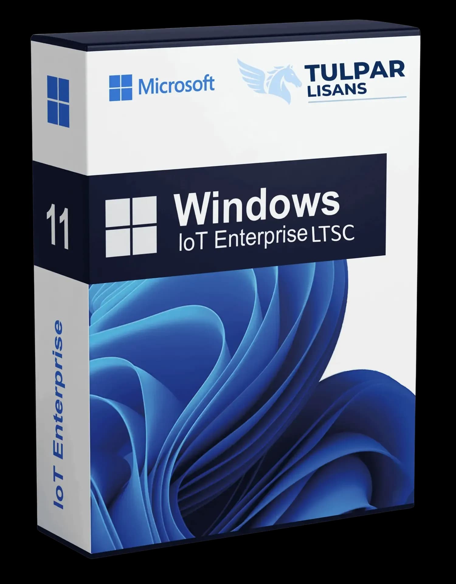 Windows 11 IoT Enterprise LTSC 2024 Lisans