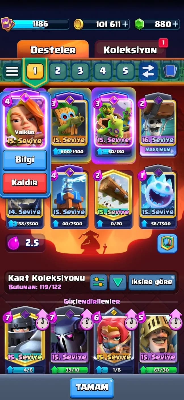 Görsel 4