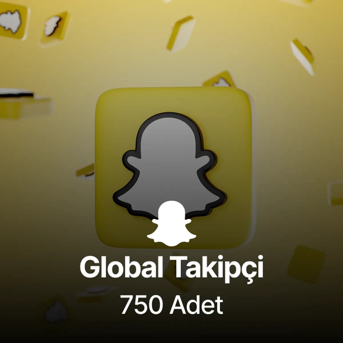 Snapchat 750 Takipçi - Kaliteli Kullanıcılar
