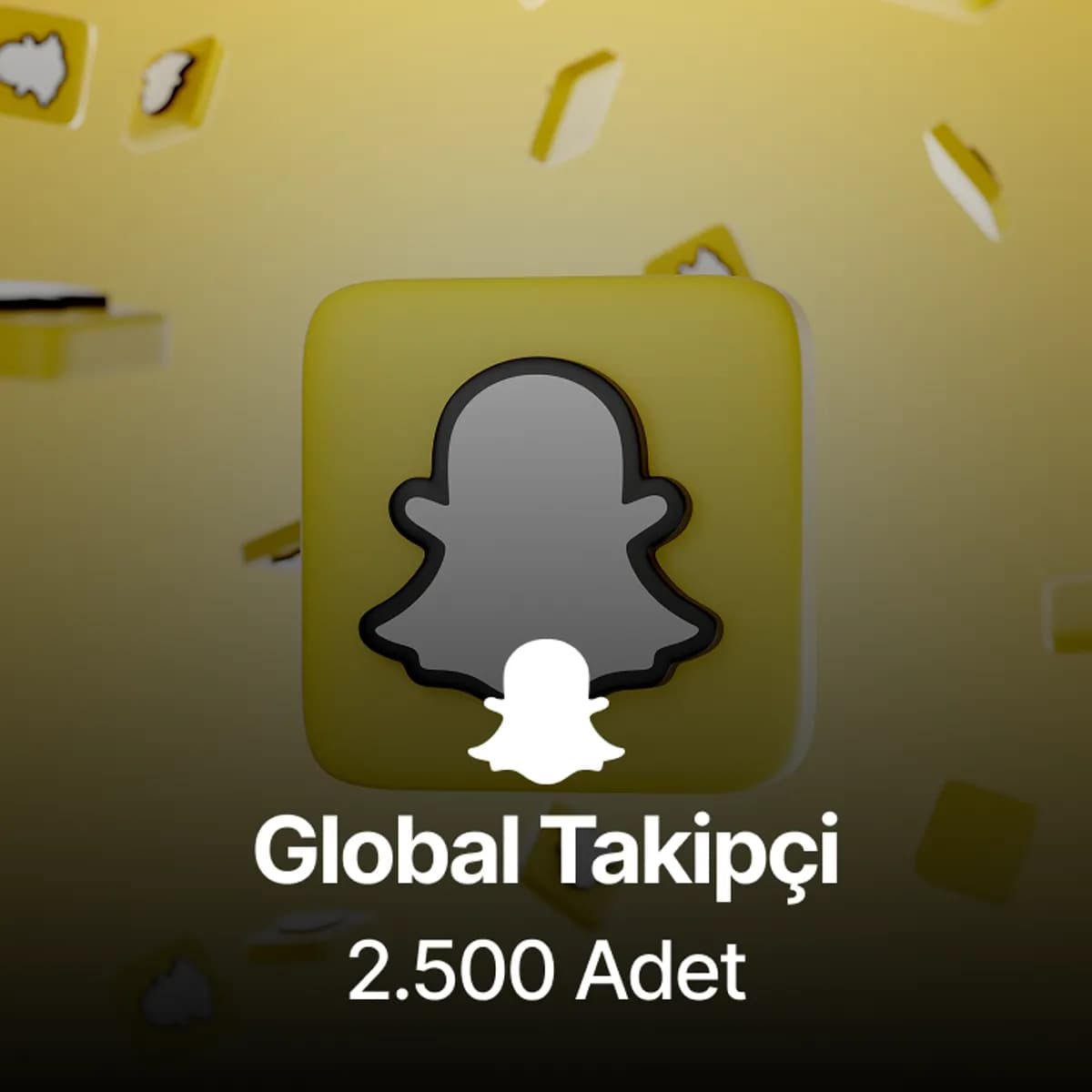 Snapchat 2.500 Takipçi - Kaliteli Kullanıcılar