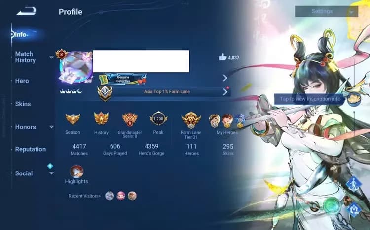 Global | Grandmaster 2* (S13) - 111 Heroes - 295 Skins