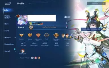 Global | Grandmaster 2* (S13) - 111 Heroes - 295 Skins
