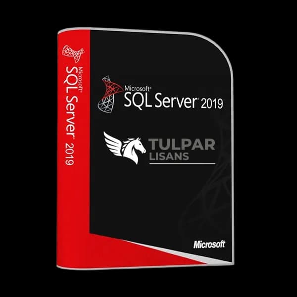SQL Server 2019 Standard Lisans Anahtarı