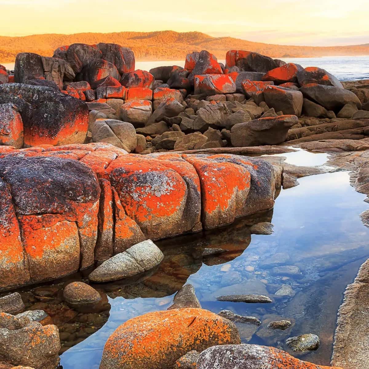 insta takipci api test insta takipci api test